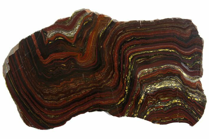 Polished Tiger Iron Stromatolite Slab - Billion Years #161884